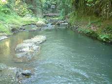 BALI/UBUD