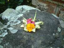 BALI/UBUD