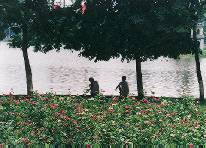 Hanoi/VietNam