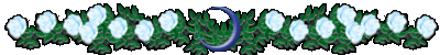 ros_bk.gif(13713 byte)