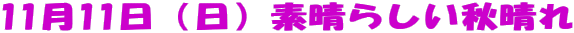 1111ijf炵H