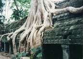 Angkor.../Cambodia